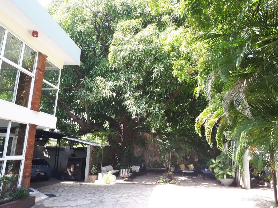Hotel Alcaldeza - Garden House Maria Guadalupe 산토도밍고 외부 사진