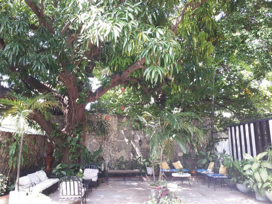 Hotel Alcaldeza - Garden House Maria Guadalupe 산토도밍고 외부 사진