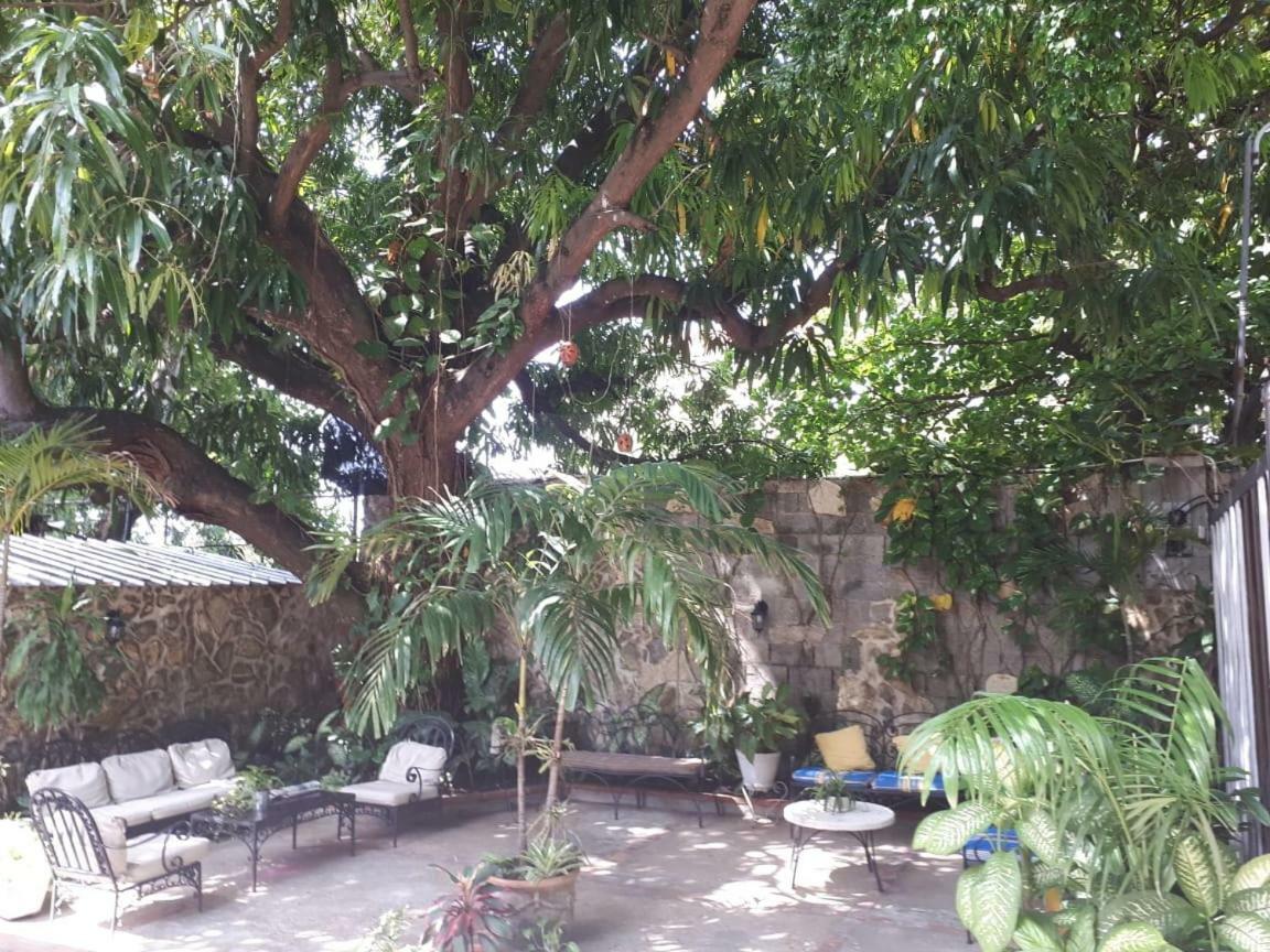 Hotel Alcaldeza - Garden House Maria Guadalupe 산토도밍고 외부 사진