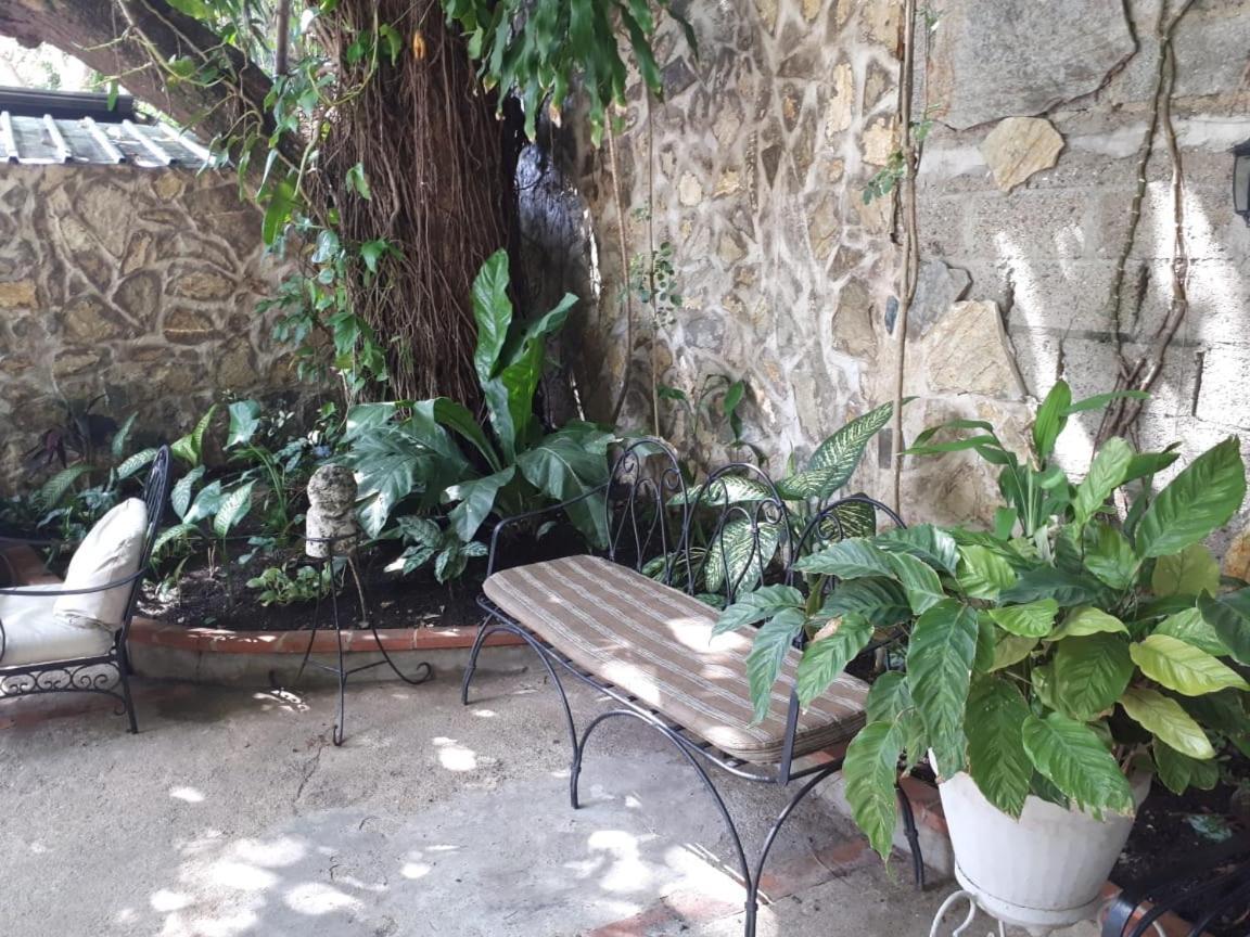 Hotel Alcaldeza - Garden House Maria Guadalupe 산토도밍고 외부 사진